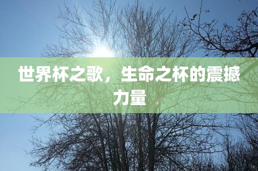 世界杯之歌，生命之杯的震撼力量
