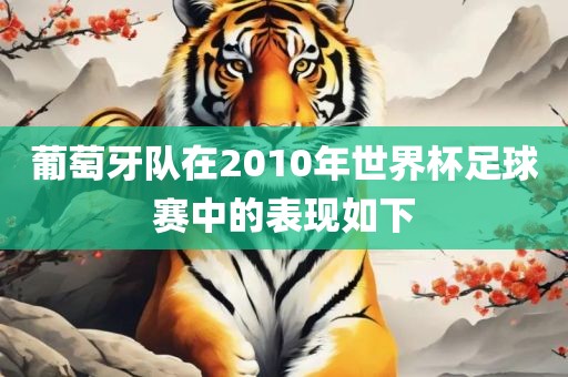 葡萄牙队在2010年世界杯足球赛中的表现如下洛阳市法福文化传播有限公司