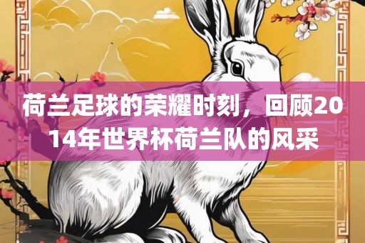 荷兰足球的荣耀时刻，回顾2014年世界杯荷兰队的风采