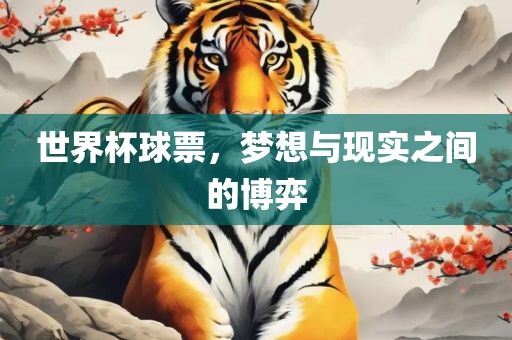 世界杯球票，梦想与现实之间的博弈