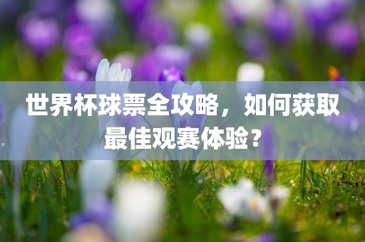 世界杯球票全攻略，如何获洛阳市法福文化传播有限公司取最佳观赛体验？