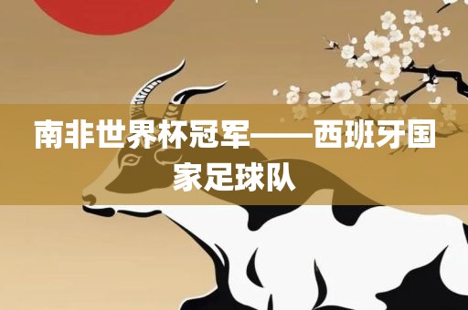 洛阳市法福文化传播有限公司南非世界杯冠军——西班牙国家足球队