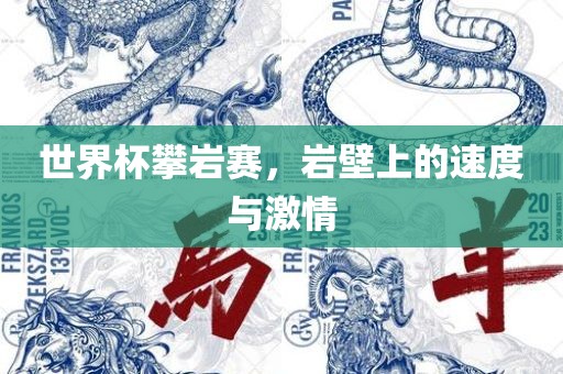 世界杯攀岩赛，岩壁上的速度与激情