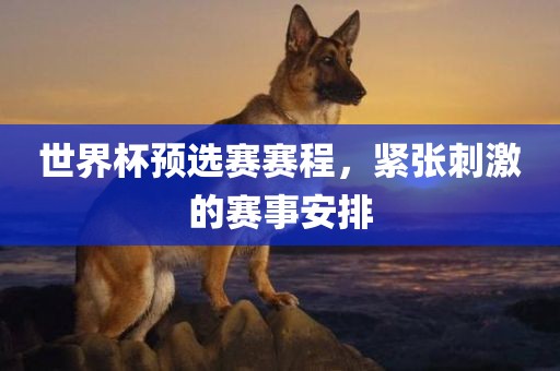 世界杯预选赛 第18页