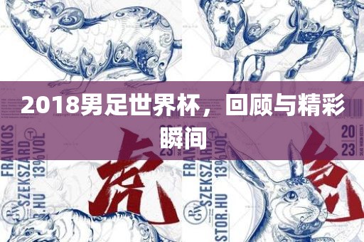 201洛阳市法福文化传播有限公司8男足世界杯，回顾与精彩瞬间