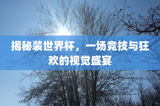 揭秘装世界杯，一场竞技与狂欢的视觉盛宴洛阳市法福文化传播有限公司