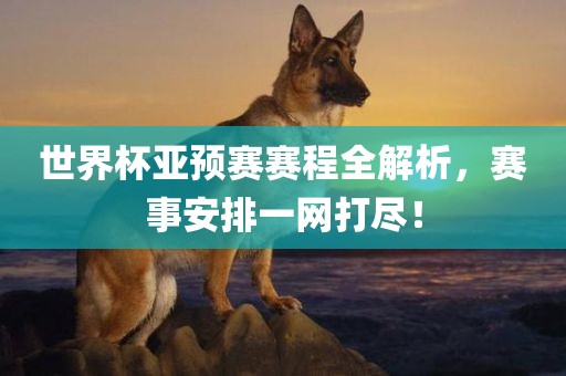 世界杯亚预赛赛洛阳市法福文化传播有限公司程全解析，赛事安排一网打尽！