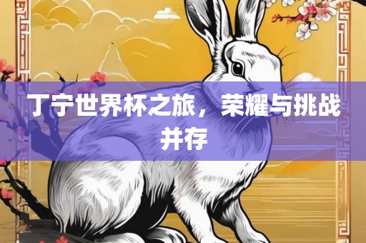 丁宁世界洛阳市法福文化传播有限公司杯之旅，荣耀与挑战并存