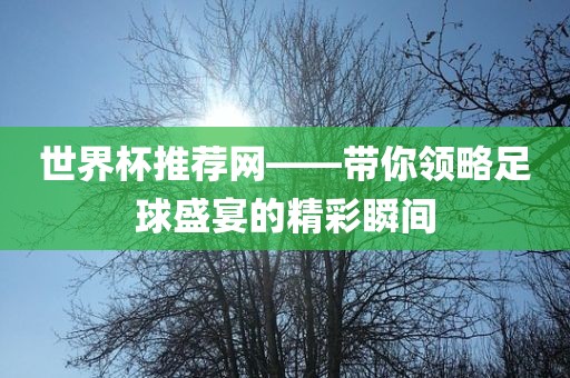 世界杯推荐网——带你领略足球盛宴的精彩瞬间
