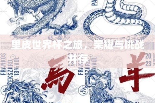 里皮世界杯之旅，荣耀与挑战并存