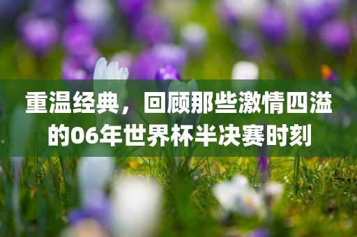 liyanzhi 第8页
