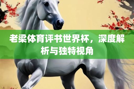老梁体育评书世界杯，深度解析与独特视角