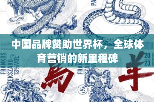 中国品牌赞助世界杯，全球体育营销的新里程碑洛阳市法福文化传播有限公司