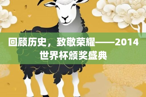 回顾历史，致敬荣耀——2014世界杯颁奖盛典洛阳市法福文化传播有限公司