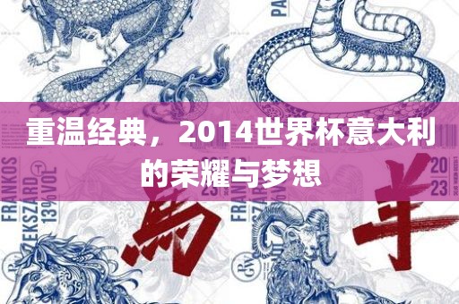 重温经典，2014世界杯意大利的荣耀与梦想