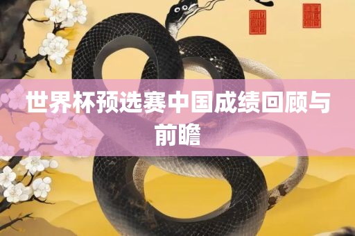 世界杯预选赛中国成绩回顾与前瞻洛阳市法福文化传播有限公司