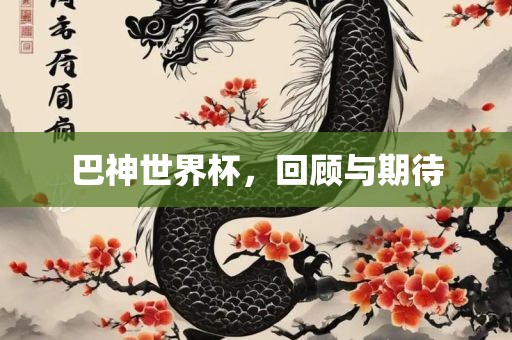 巴神世界杯，回顾与期待