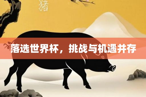 落选世界杯，挑战与机遇并存洛阳市法福文化传播有限公司