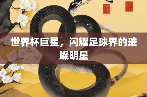 世界杯巨星，闪耀足球界的璀璨明星