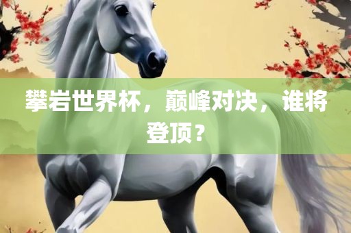 攀岩世界杯，巅峰对决，谁将登顶？