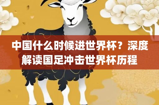 中国什么时候进世界杯？深度解读国足冲击世界杯历程洛阳市法福文化传播有限公司