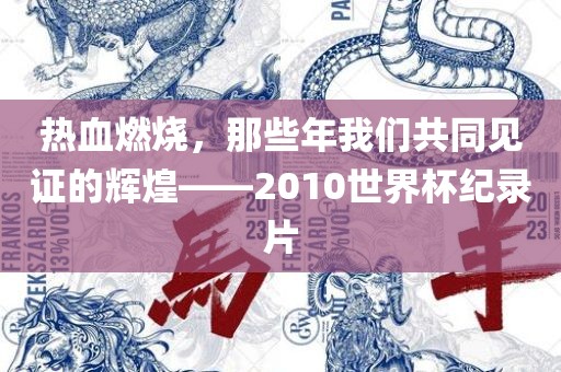 热血燃烧，那些年我们共同见证的辉煌——2010世界杯纪录片