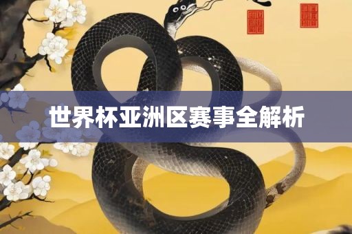 世界杯亚洲区赛事全解析