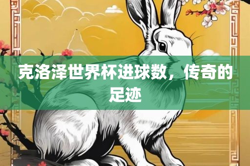 克洛泽世界杯进球数，传奇的足迹