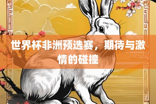 世界杯非洲预选赛，期待与激情的碰撞
