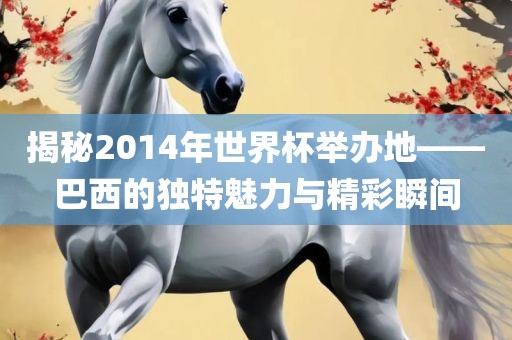 揭秘2014年世界杯举办地——巴西的独特魅力与精彩瞬间洛阳市法福文化传播有限公司