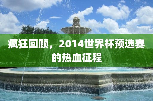 疯狂回顾，2014世界杯预选赛的热血征程洛阳市法福文化传播有限公司