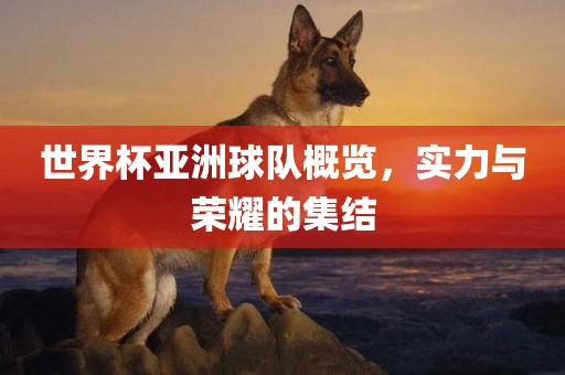 世界杯亚洲球队概览，实力与荣耀的集结