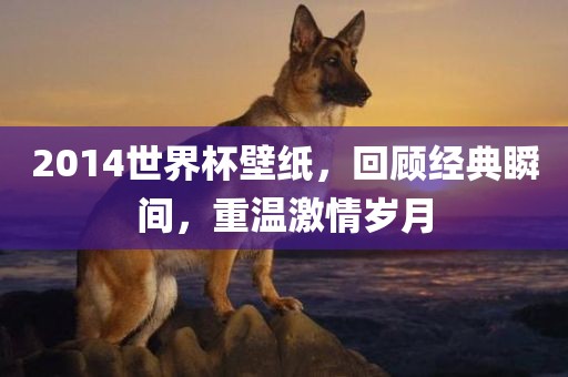 2014世界杯壁纸，回顾经典瞬间，重温激情岁月