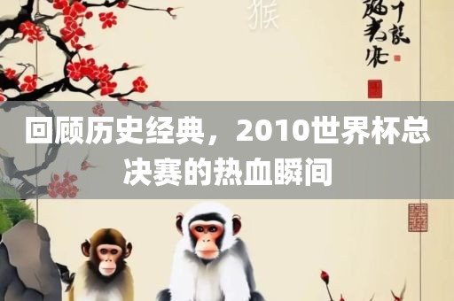 回顾历史经典，2010世界杯总决赛的热血瞬间