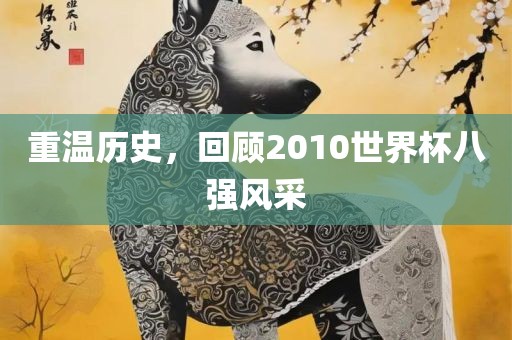 重温历史，回顾2010世界杯八强风采