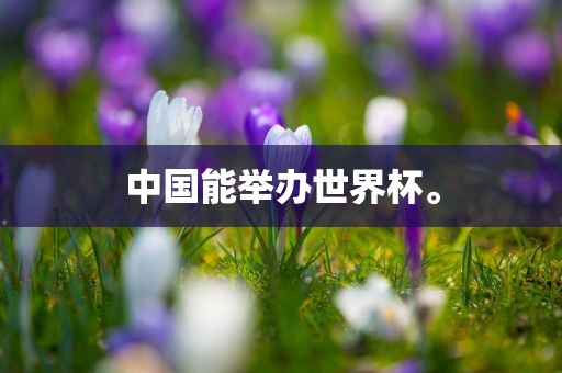中国能举办世界杯。