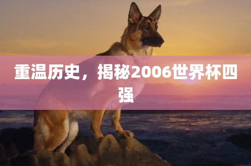 重温历史，揭秘2006世界杯四强洛阳市法福文化传播有限公司