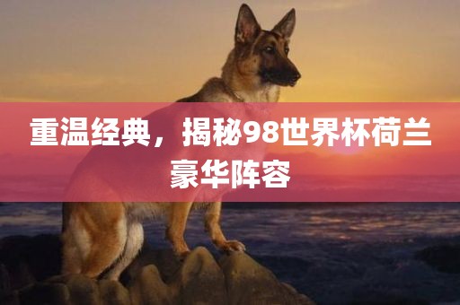 yuhua 第8页