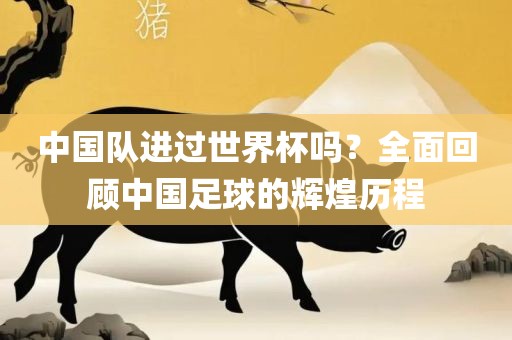 中国队进过世界杯吗？全面回顾中国足球的辉煌历洛阳市法福文化传播有限公司程