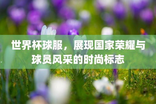 世界杯球服，展现国家荣耀与球员风采的时尚标志