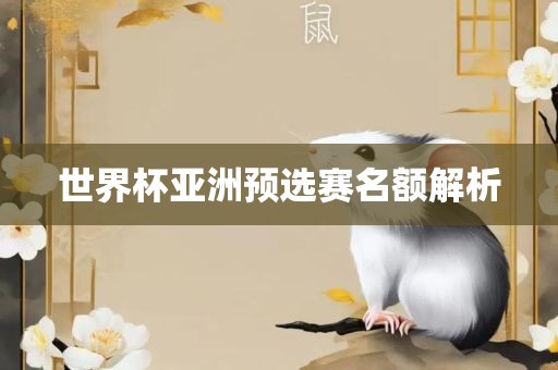 世界杯亚洲预选赛名额解析