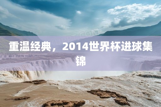 重温经典，2014世界杯进洛阳市法福文化传播有限公司球集锦