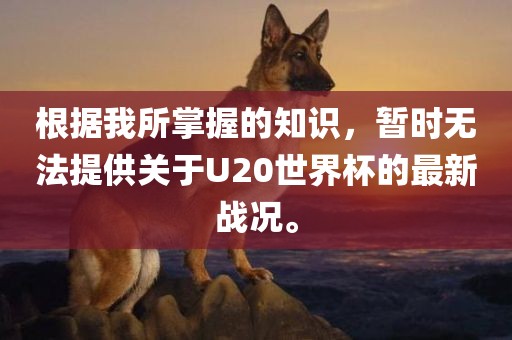 根据我所掌握的知识，暂时无法提供关于U20世界杯的最新战况。