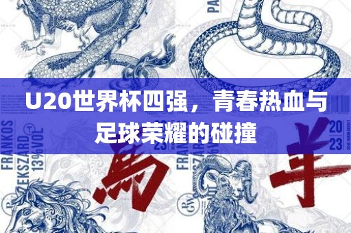 U20世界杯四强，青春热血与足球荣耀的碰撞
