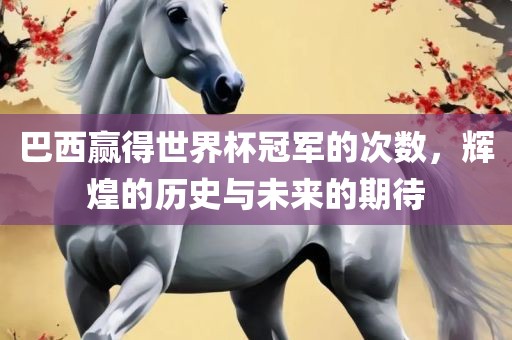 巴西赢得世界杯冠军的次数，辉煌的历史与未来的期待洛阳市法福文化传播有限公司