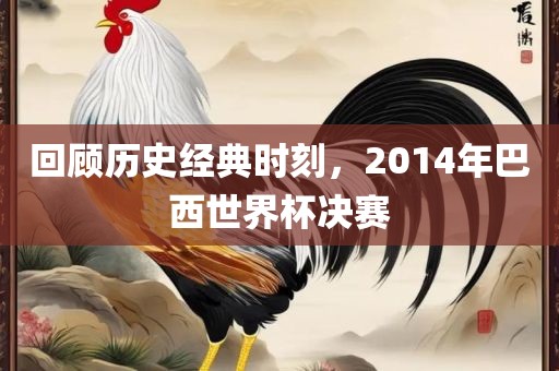 回顾历史经典时刻，2014年巴西世界杯决赛