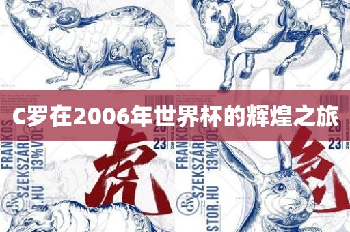 C罗在2006年世界杯的辉煌之旅