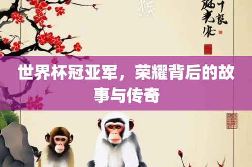 世界杯冠亚军，荣耀背后的故事与传奇