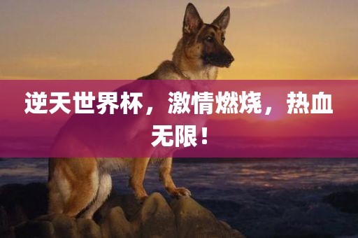 激情燃烧 第2页