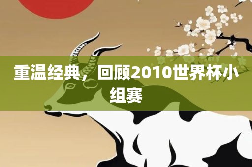 重温经典，回顾2010世界杯小组赛洛阳市法福文化传播有限公司